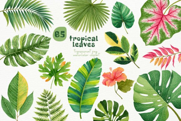 Download Watercolor Tropical Leaves PNG Clipart - Water Collection
