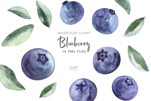 Download Blueberries Watercolor Clipart - Water Collection
