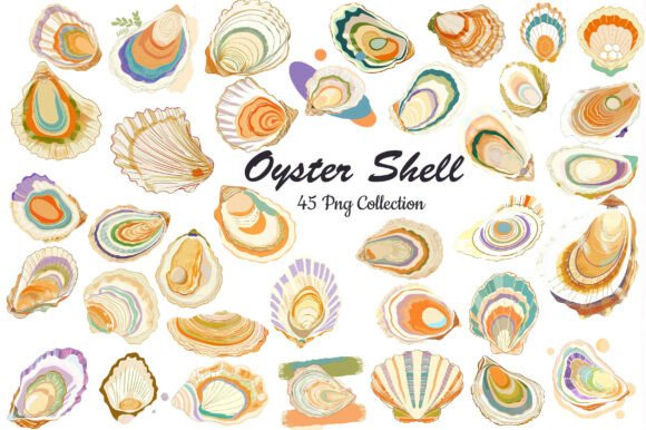Download Watercolor Oyster Shell Clipart - Water Collection
