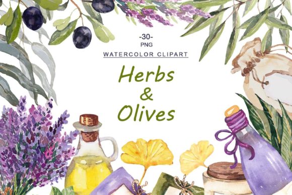 Download Watercolor Herbs and Olives Clipart - Water Collection