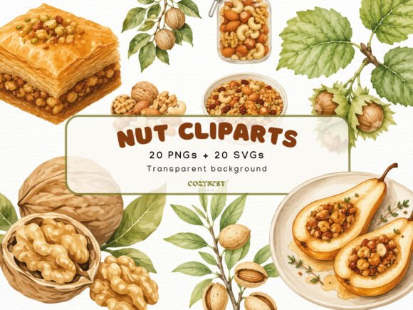Download Nut Watercolor Cliparts, Botanical PNG - Water Collection