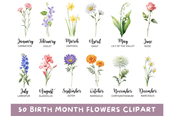 Download 50 Watercolor Birth Month Flowers PNG - Water Collection